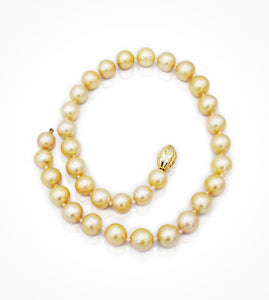 NE-004558 18K Yellow gold clasp and 33 golden South Sea pearls, 10.5-12.7mm